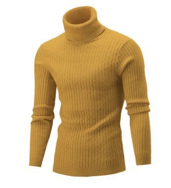 Men's Sweater Casual Retro Twisted Flower Turtleneck Knitting sweater
